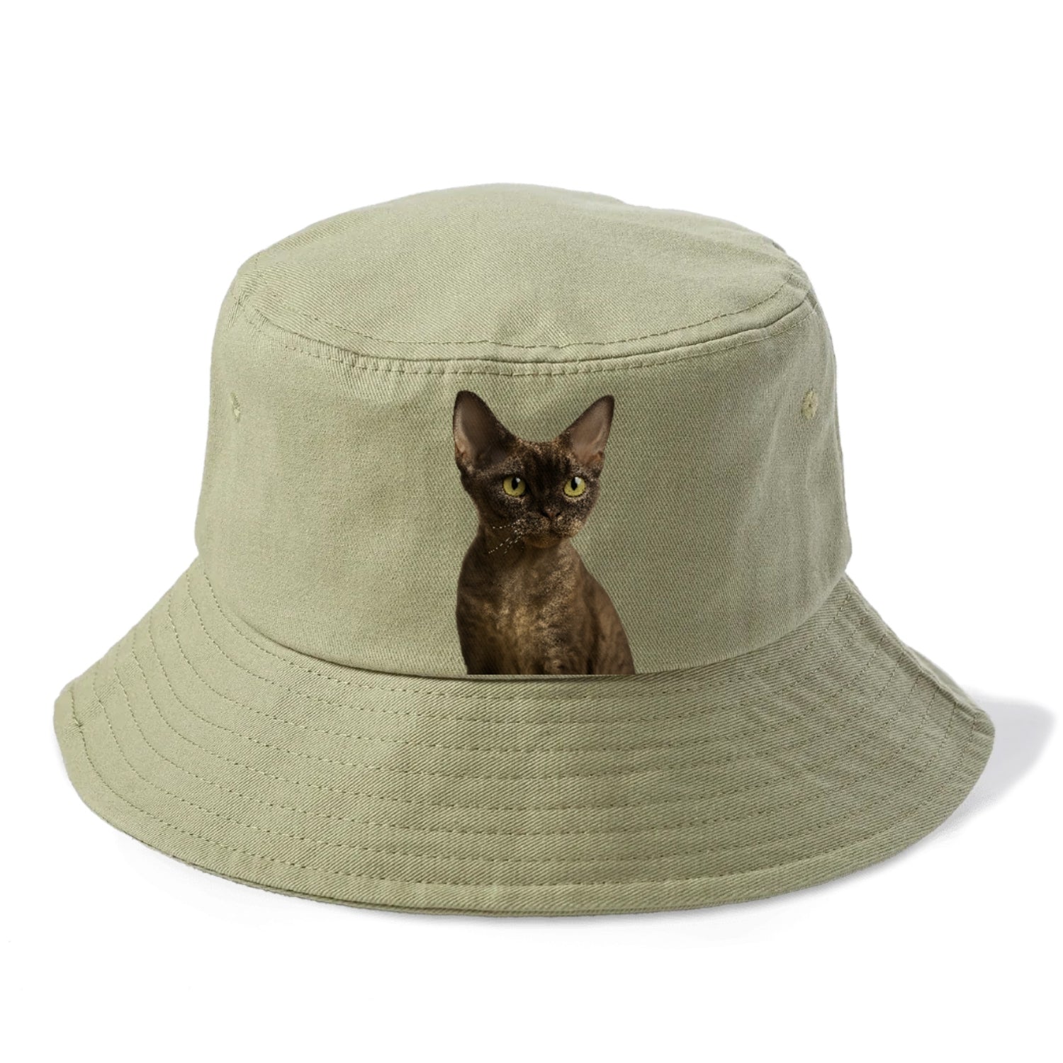 devon-rex-the-unique-charm Hat