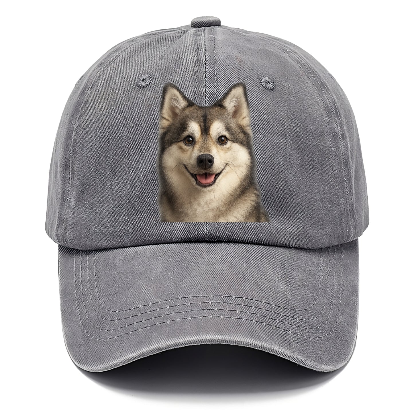 pomsky portrait design Hat