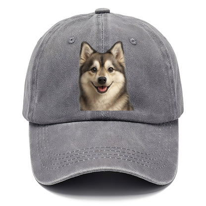pomsky portrait design Hat