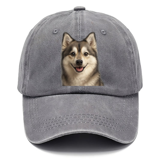 pomsky portrait design Hat