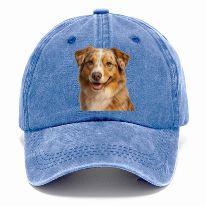 red merle australian shepherd portrait design Hat