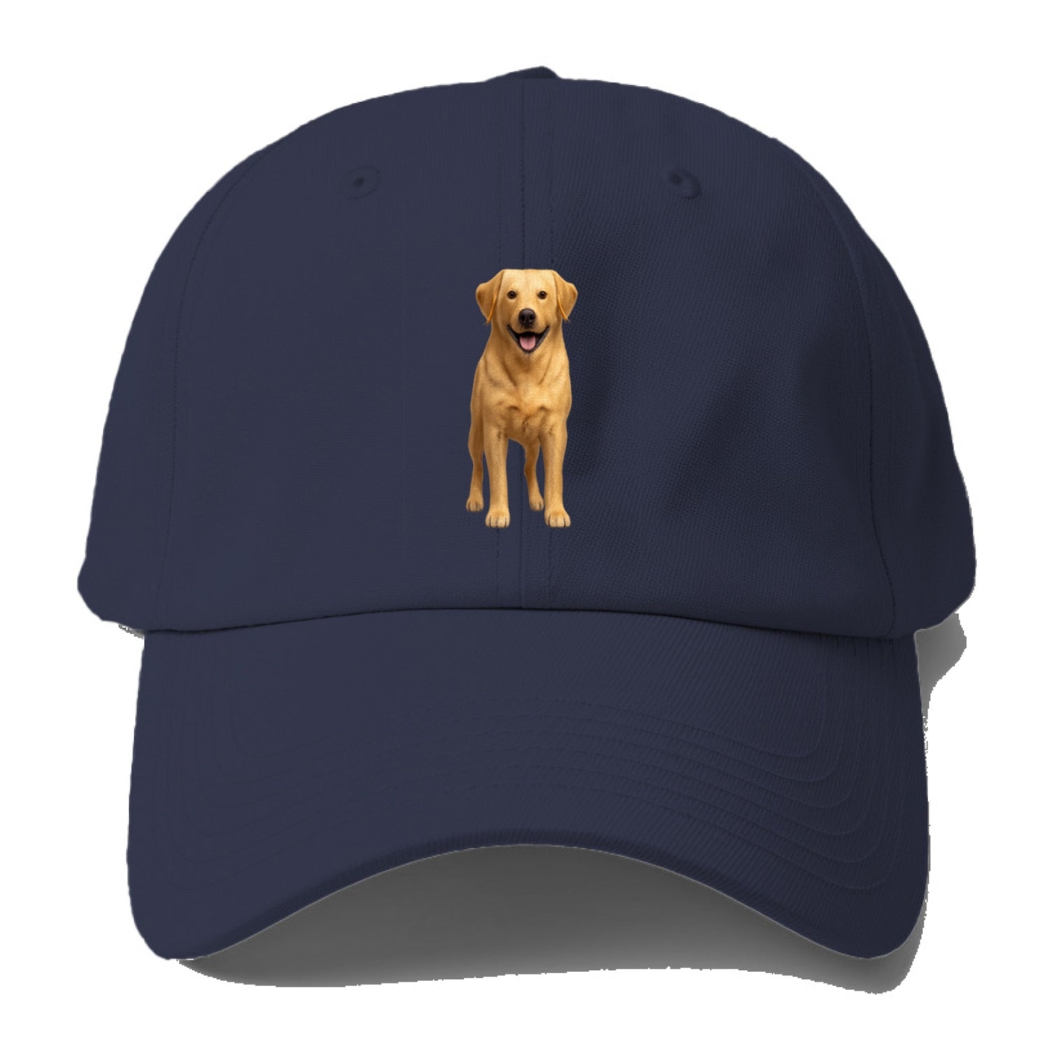 happy golden labrador retriever portrait Hat