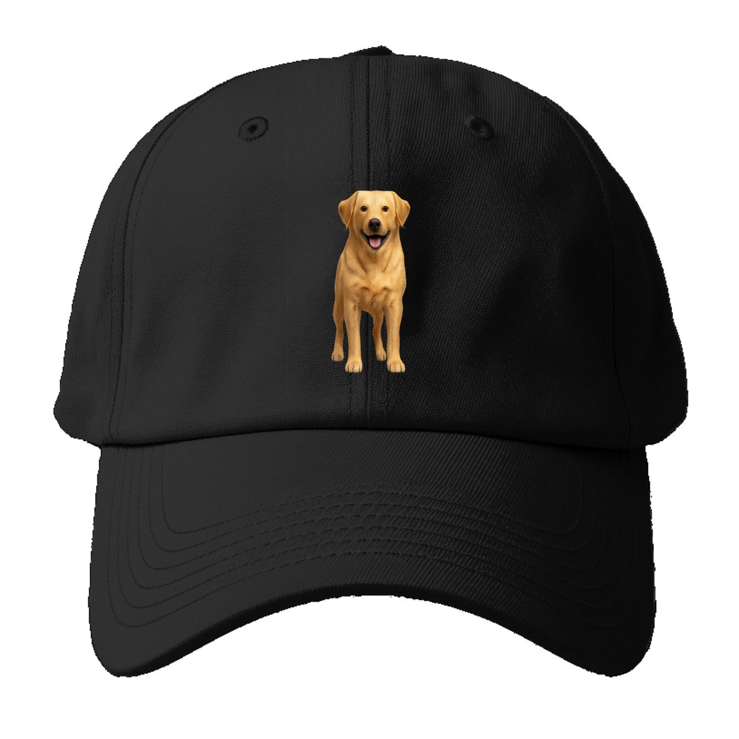 happy golden labrador retriever portrait Hat