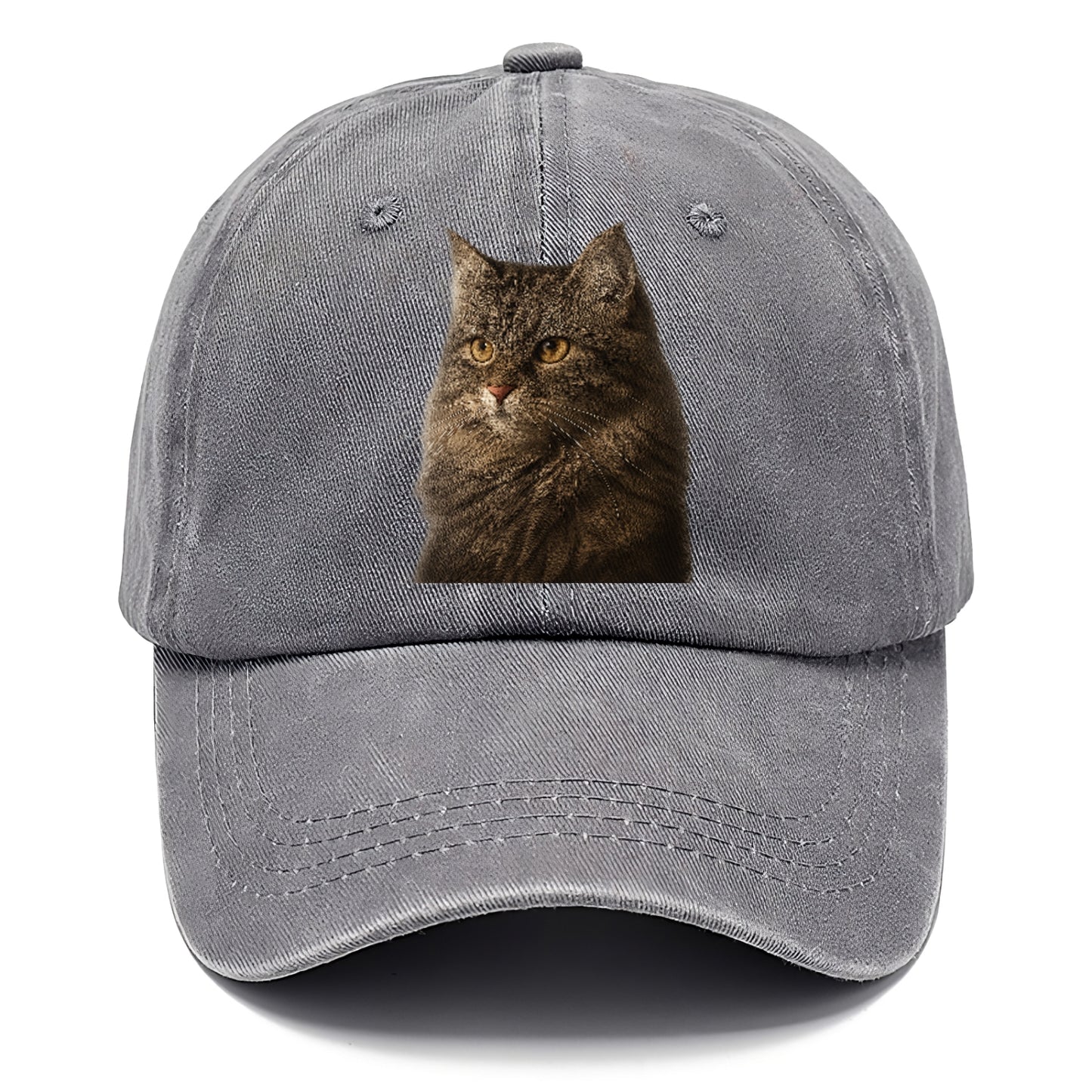 domestic-longhair-graceful-charm Hat
