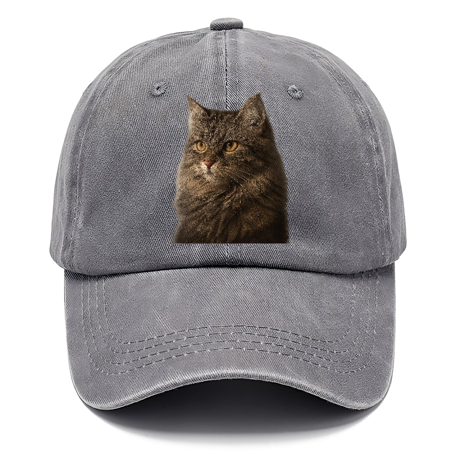 domestic-longhair-graceful-charm Hat