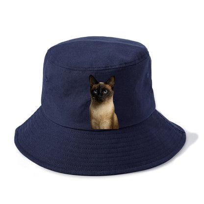 seal-point-siamese-mystical-charm Hat
