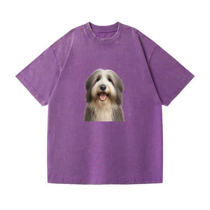 bearded collie: whimsical wanderer Hat