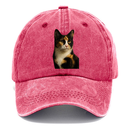calico-mix-vibrant-spirit Hat