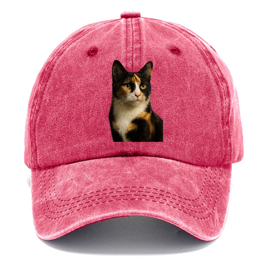 calico-mix-vibrant-spirit Hat