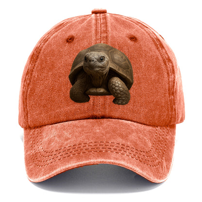tortoise portrait design Hat