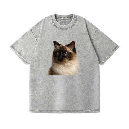 ragdoll-gentle-demeanor Hat