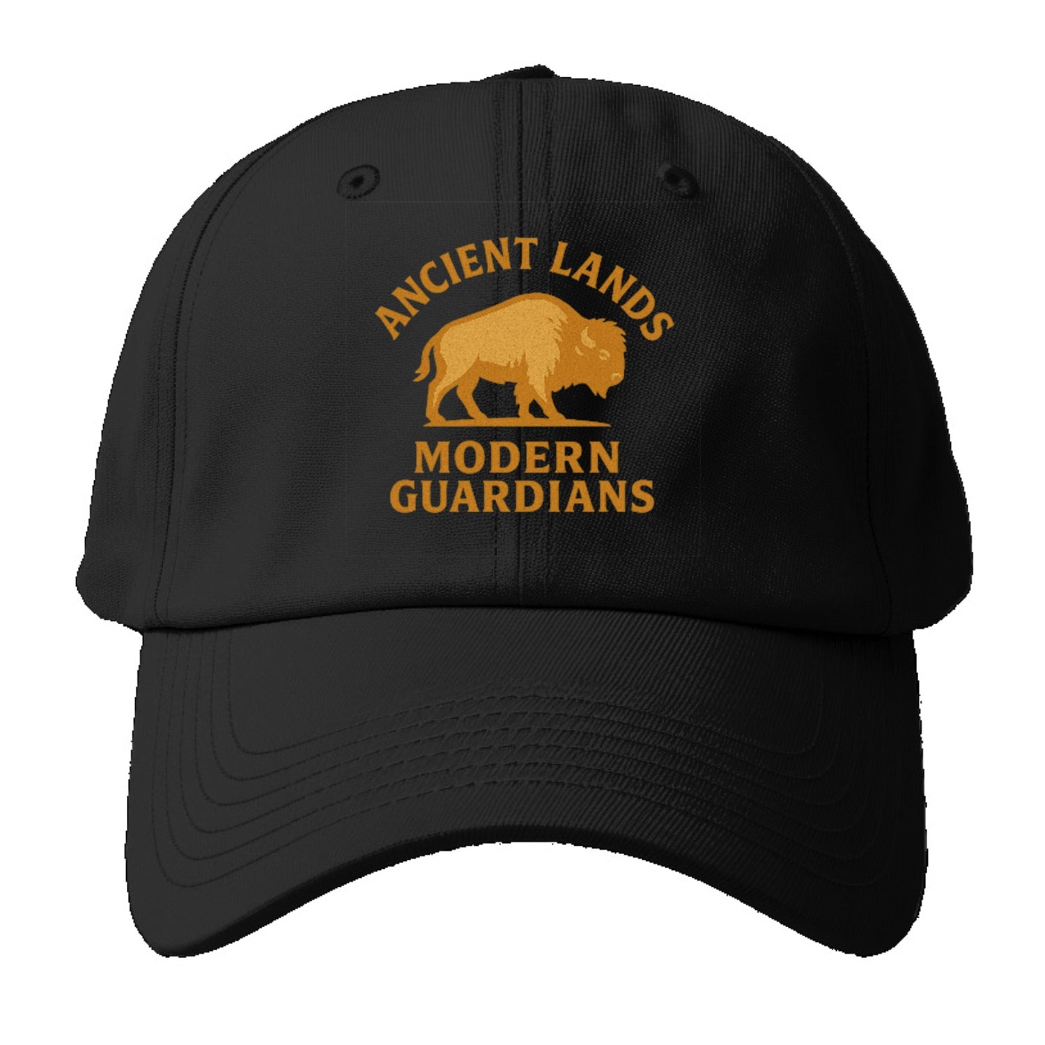 Ancient Lands, Modern Guardians Hat