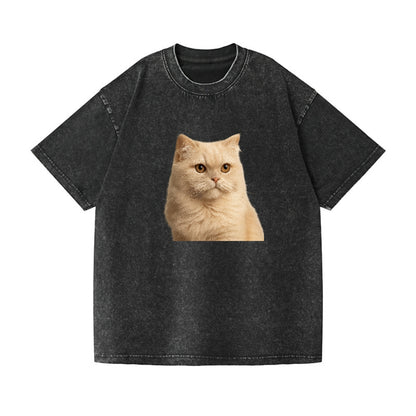 cream-persian-fluffy-elegance Hat