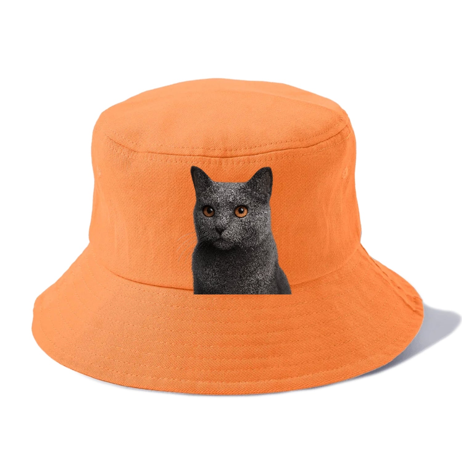 chartreux-regal-charm Hat