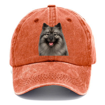 keeshond: silver fox, golden heart Hat