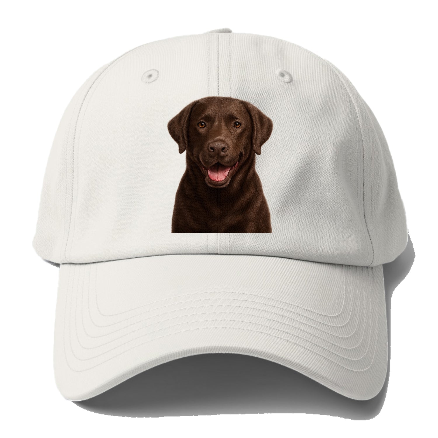 labrador friendly family Hat