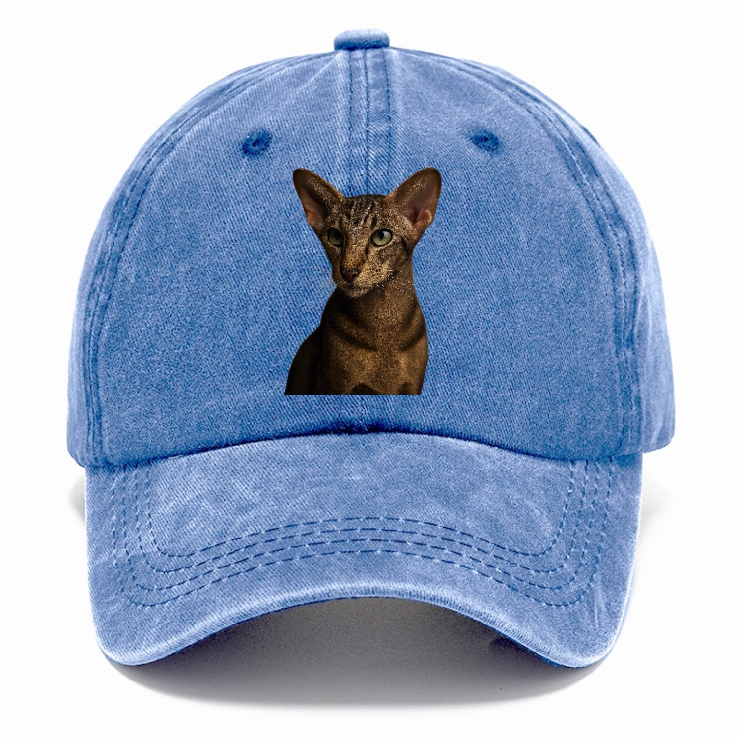 oriental-shorthair-sleek-charm Hat