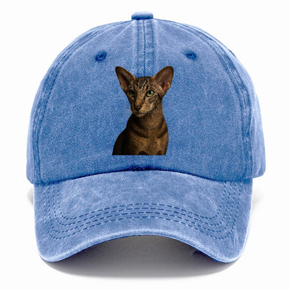 oriental-shorthair-sleek-charm Hat