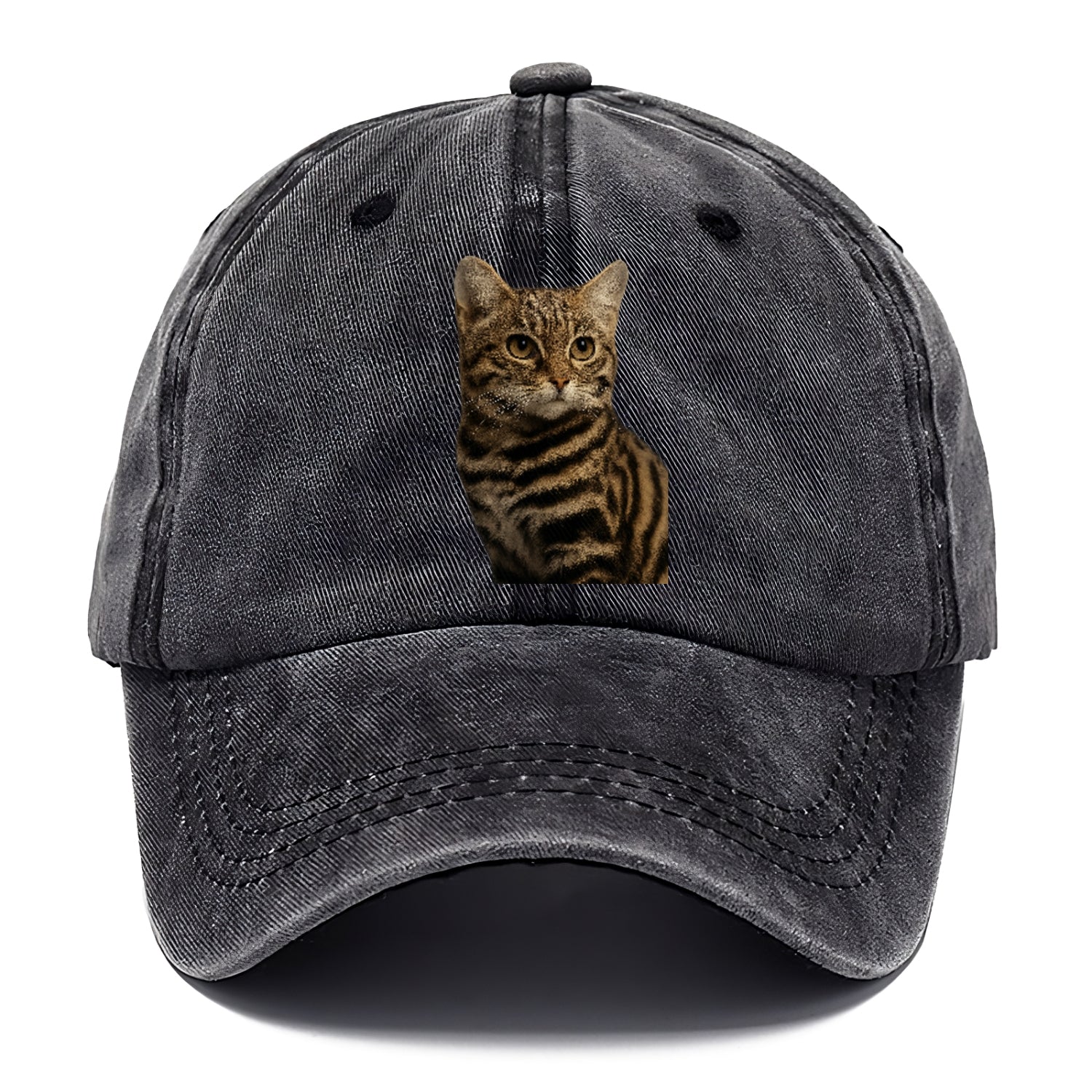 blackfooted-cat-elusive-hunter Hat