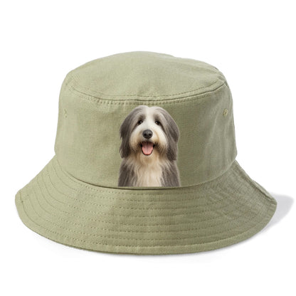 bearded collie: whimsical wanderer Hat