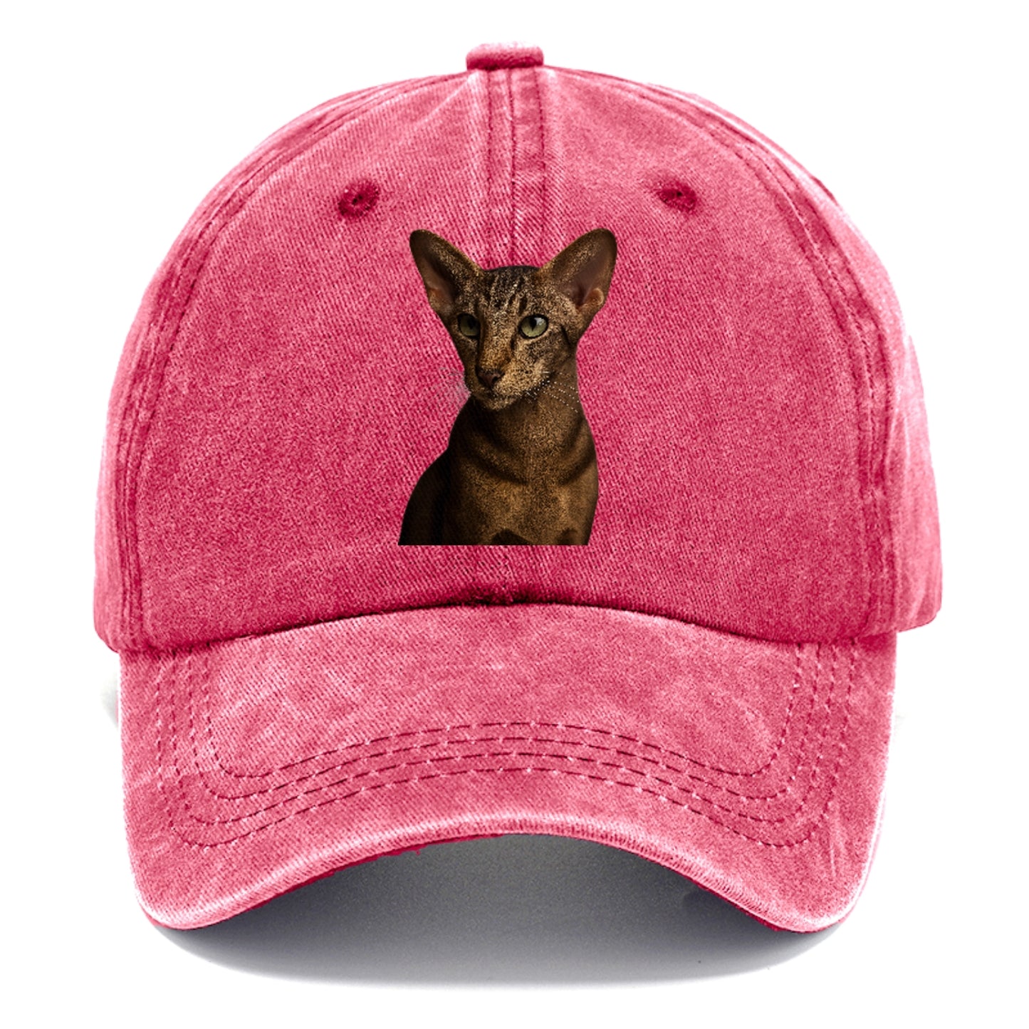 oriental-shorthair-sleek-charm Hat
