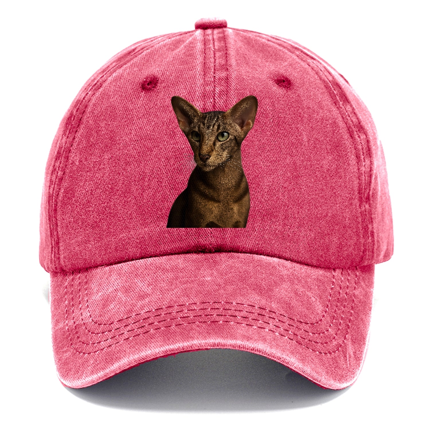 oriental-shorthair-sleek-charm Hat