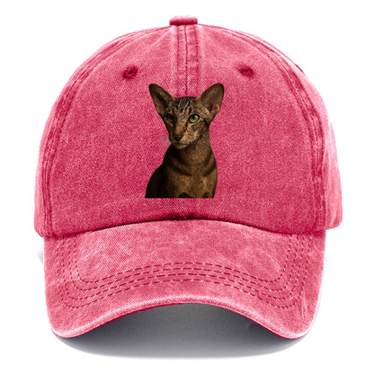 oriental-shorthair-sleek-charm Hat