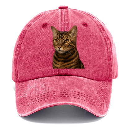 toyger-exotic-allure Hat