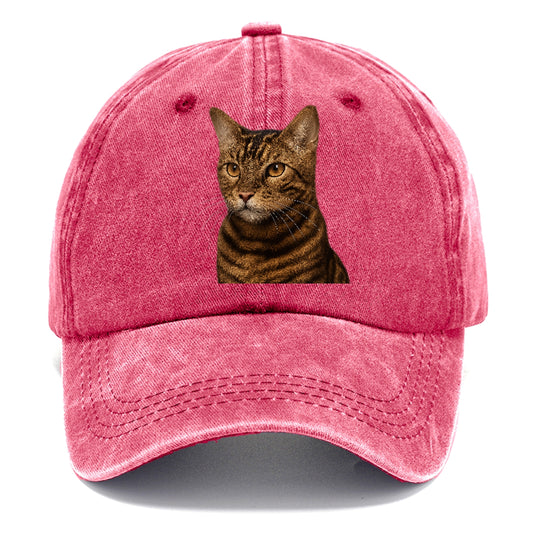toyger-exotic-allure Hat
