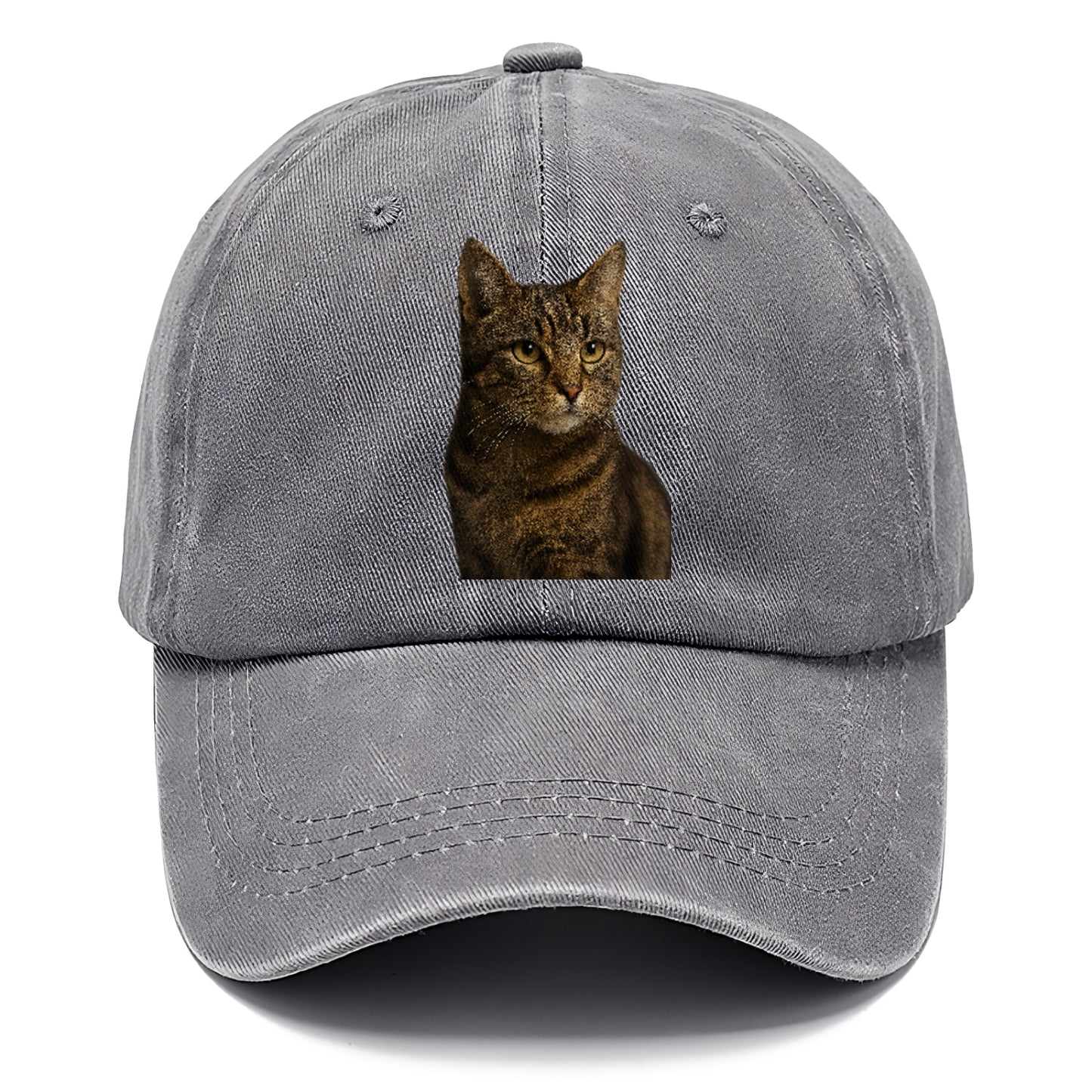 barn-cat-rustic-charm Hat