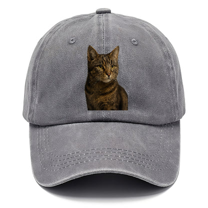 barn-cat-rustic-charm Hat