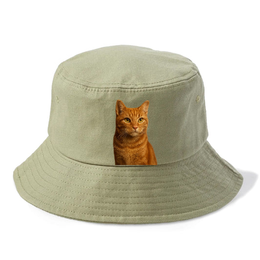 orange-tabby-cozy-companion Hat
