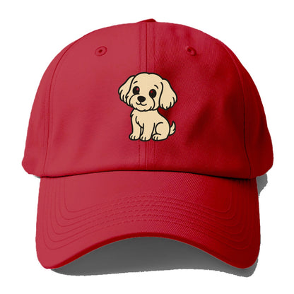 havanese cream colored sitting pose portrait design Hat