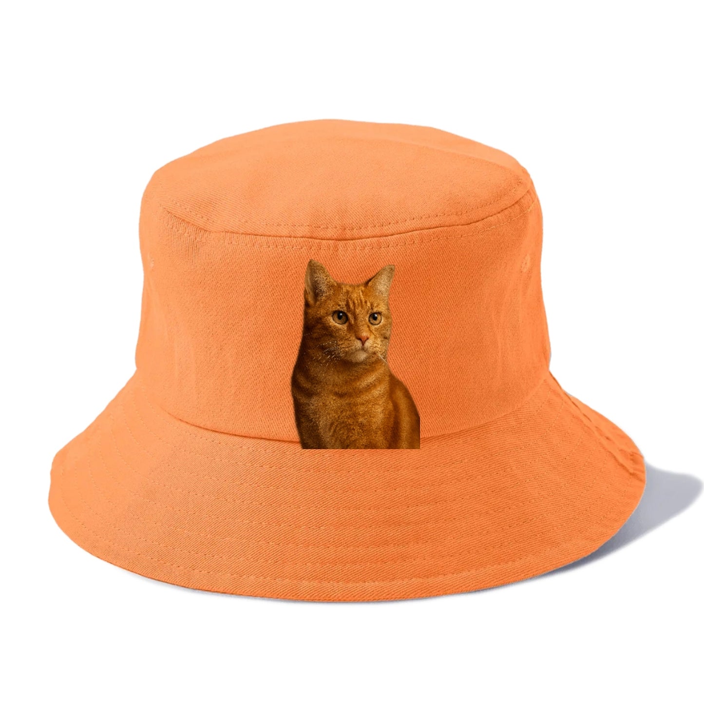 ginger-cat-warmth Hat