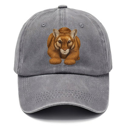mountain lion's serene gaze Hat
