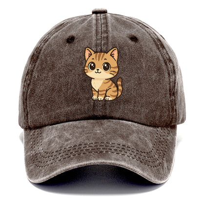 domestic-shorthair-cozy-comfort Hat