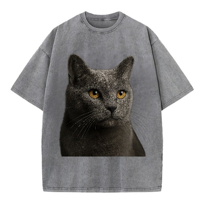 chartreux-quiet-grace Hat