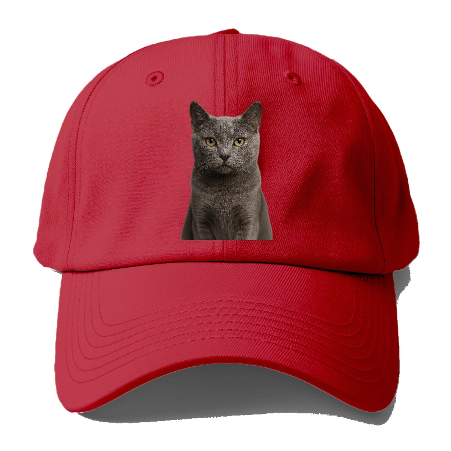 gray-cat-mysterious-charm Hat