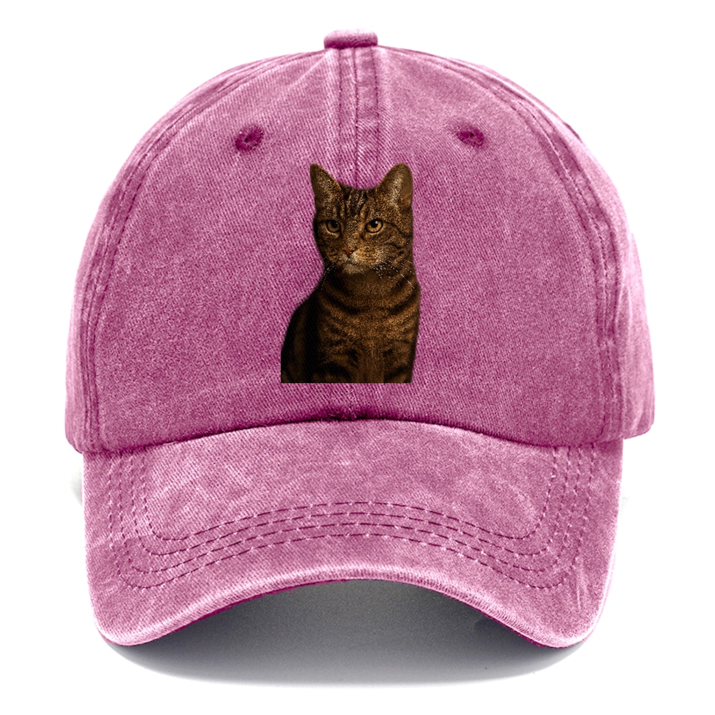 brown-tabby-cozy-charm Hat