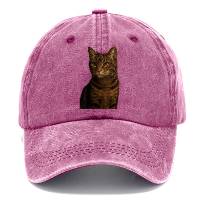 brown-tabby-cozy-charm Hat