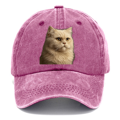 cream-persian-regal-charm Hat