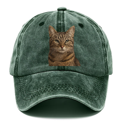 content-cat-curious-charm Hat