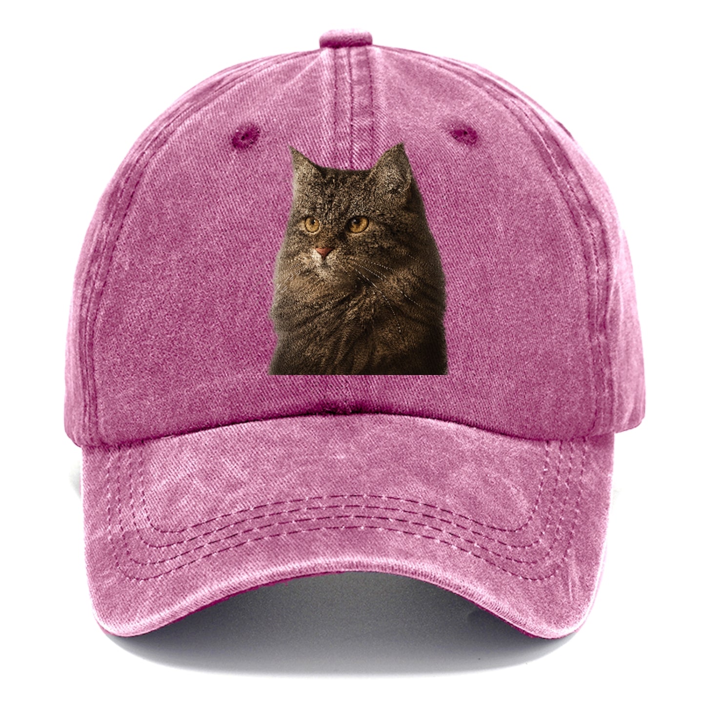 domestic-longhair-graceful-charm Hat