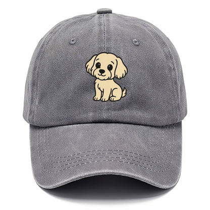 havanese cream colored sitting pose portrait design Hat