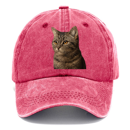 munchkin-playful-spirit Hat
