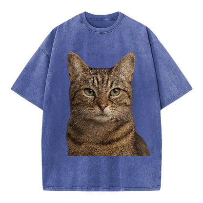 content-cat-curious-charm Hat