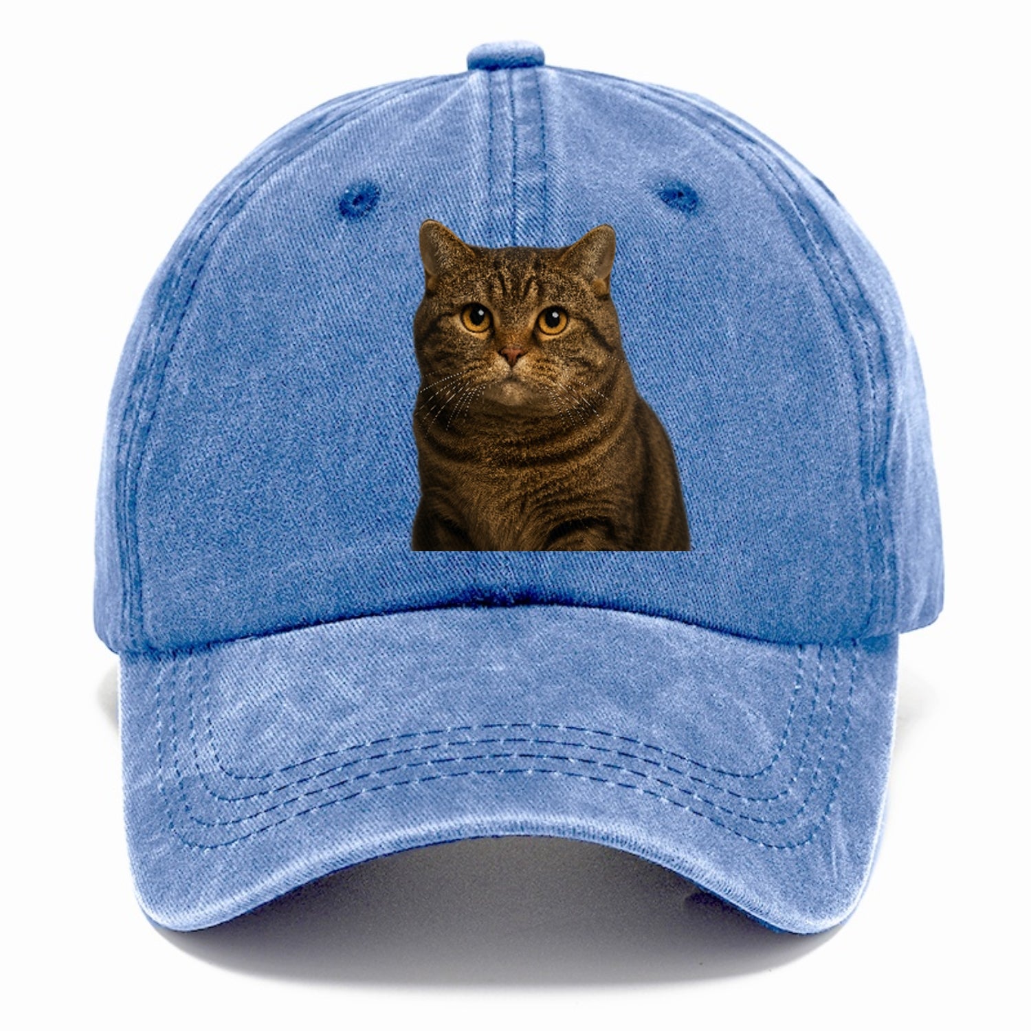 manx-cat-distinct-charm Hat