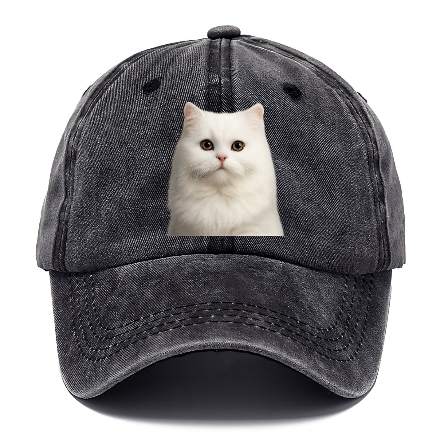 persian cat royal elegance Hat