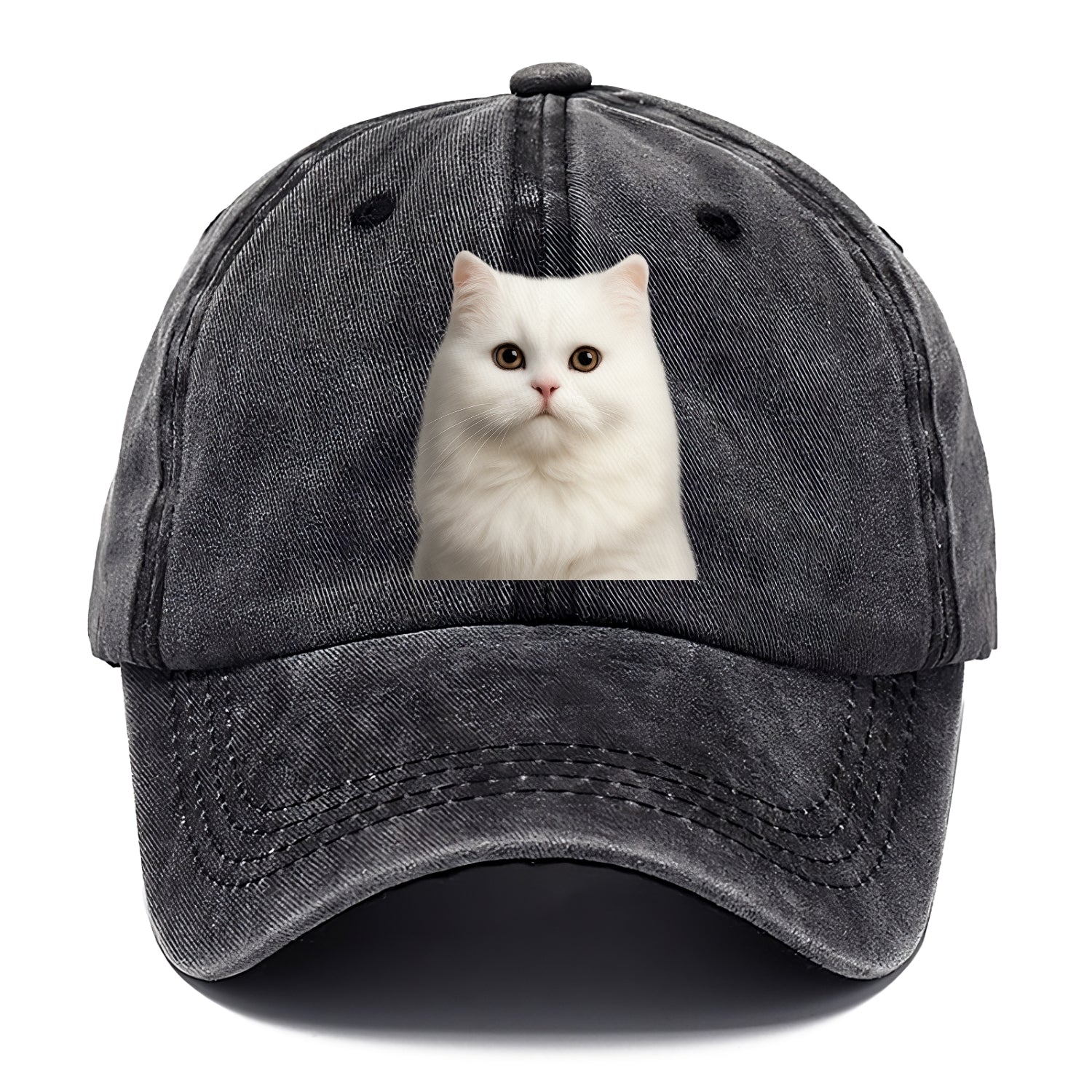 persian cat royal elegance Hat