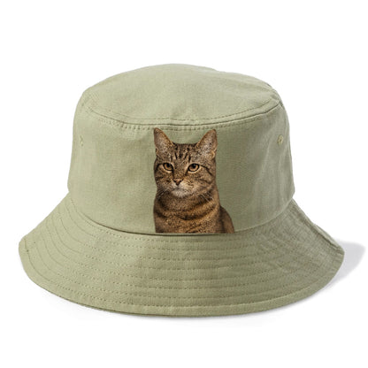 content-cat-peaceful-purr Hat